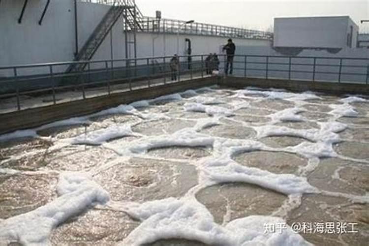 什么是铵态氮肥？