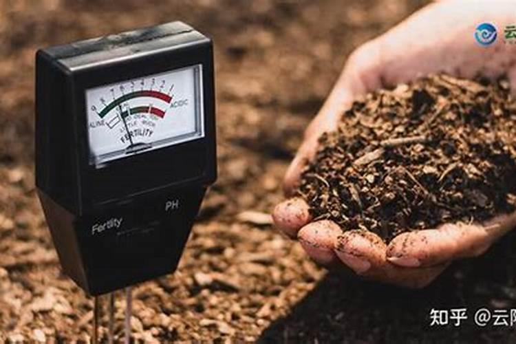 值得收藏,五大化学肥料检测方法大普及