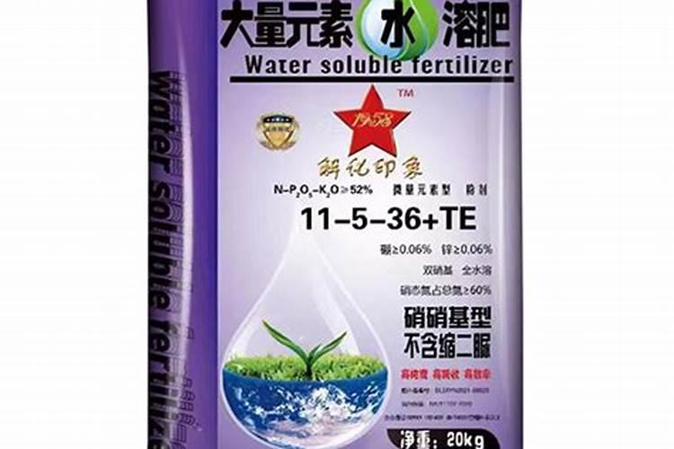 大蒜什么时候施肥最好 大蒜的施肥时间