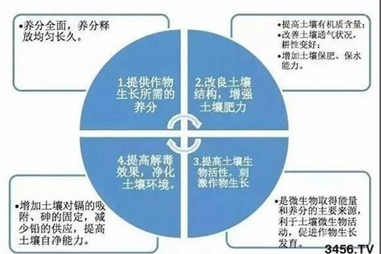 肥料与化肥之间是什么关系肥料有哪些种类