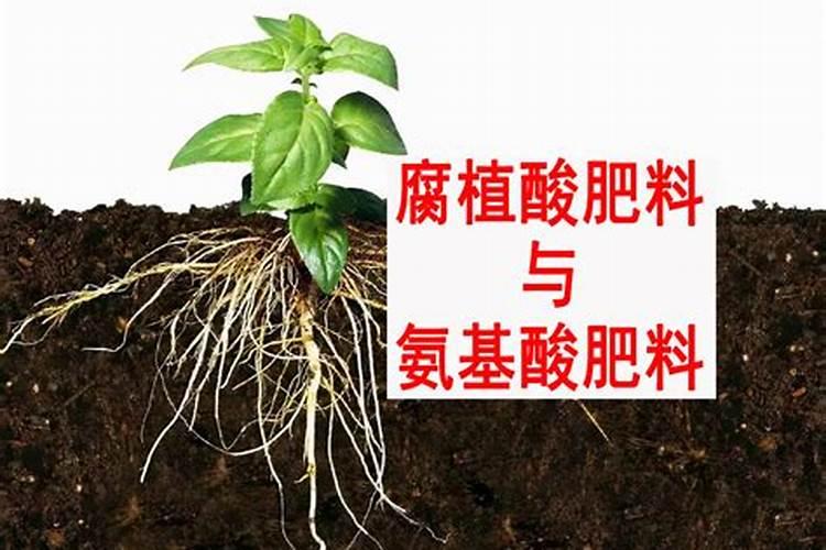 矿源腐植酸最佳搭配表