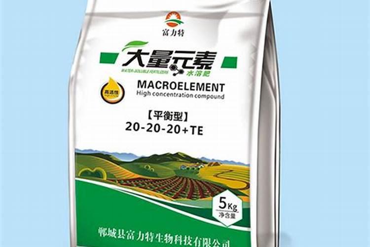 枸杞菜怎么种植