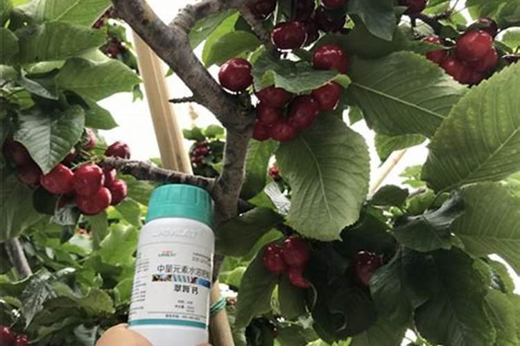 怎样判断花生壳发酵好了