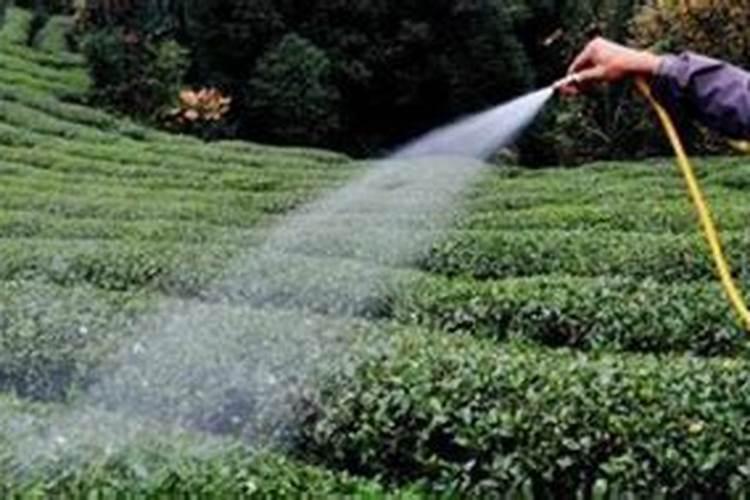 桃树叶面肥如何用磷酸二氢钾