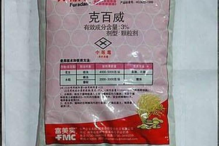 种小葱籽的方法和步骤