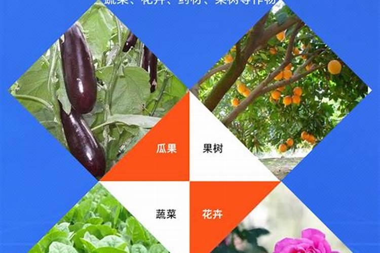 大樱桃苗的春季管理经验