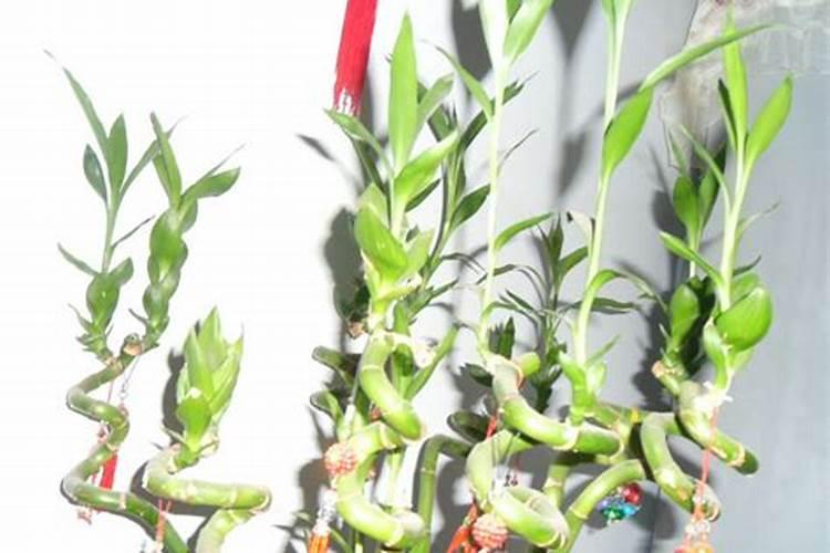 大量元素水溶肥原料配方