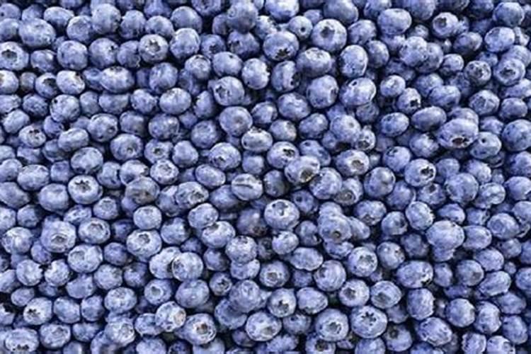 黄瓜浇多了肥怎么办 出现肥害的解决方法