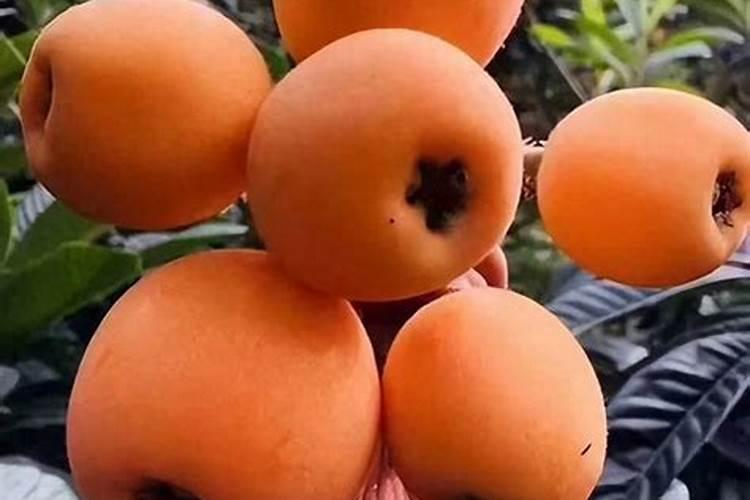 一吨煤炭燃烧热量相当于多少吨木材的燃烧热量