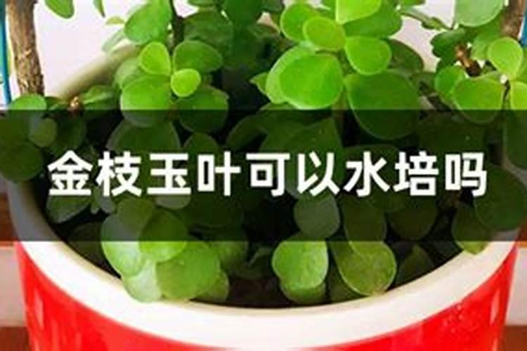 河北涿州主要产业