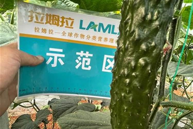 中生菌素最佳复配