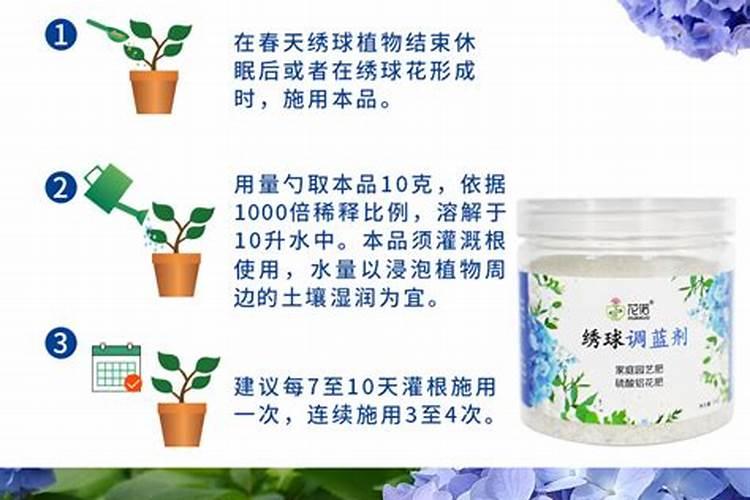 绣球花喜肥吗,喜欢施什么肥料