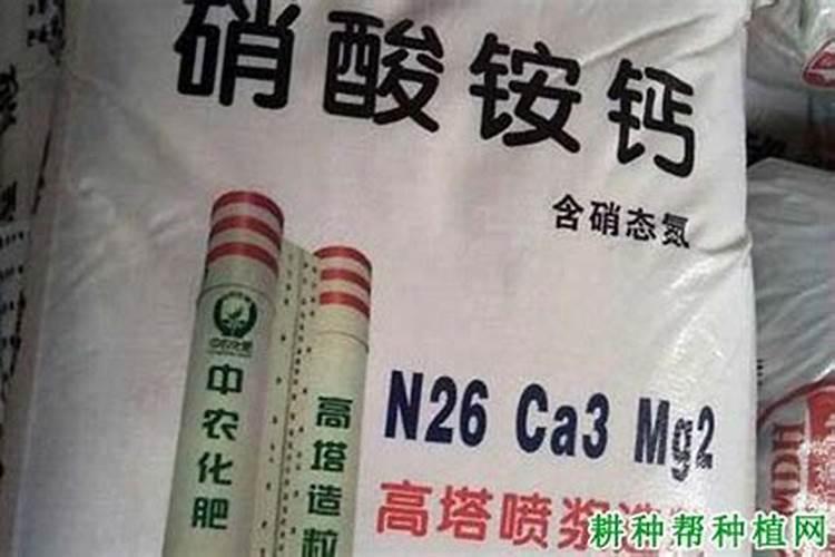 补钾的食物有哪些？补钾的注意事项