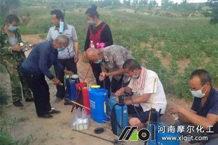 最简单的鱼蛋白水溶肥制作方法