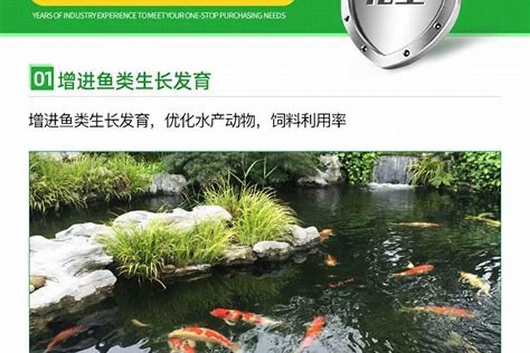 农用稀土稀土新技术及其应用前景