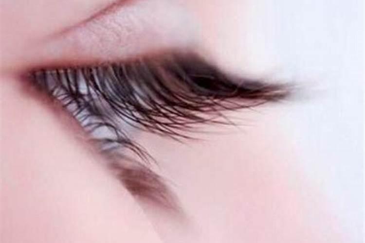 果树叶面肥用什么较好？