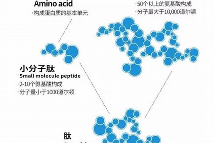 磷酸二氢钾加鱼蛋白加流体硼一起叶面喷施行吗？