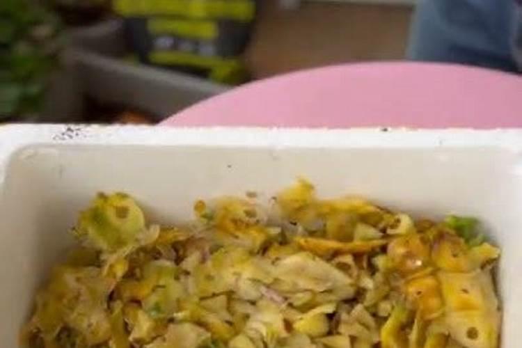 积肥,沤肥与施肥有什么区别,关于盆景肥料你不知道的