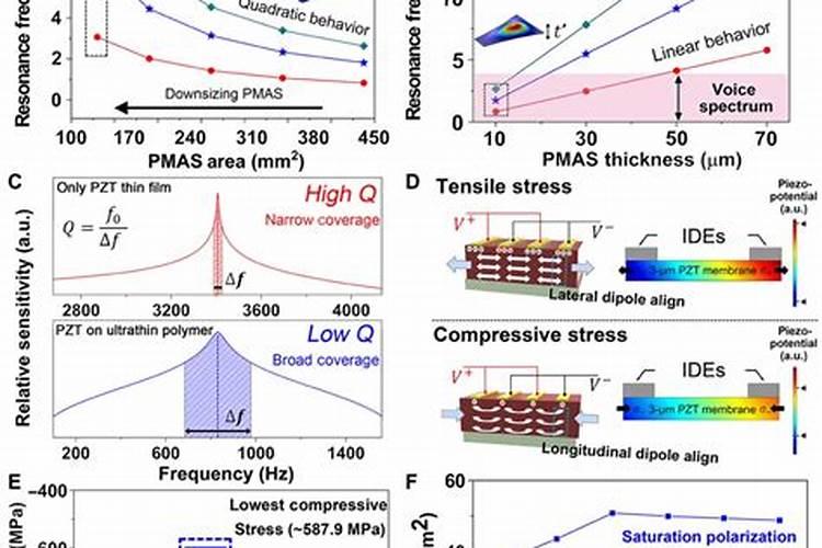 组成人体细胞的元素中含量最多的四种元素是