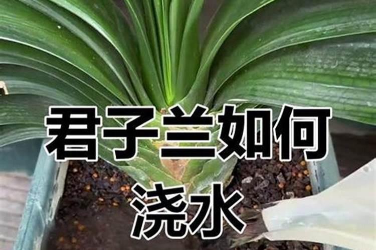 芸苔素和锌肥和磷酸二氢钾能复配吗