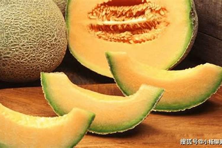 哈密瓜施肥最佳时间