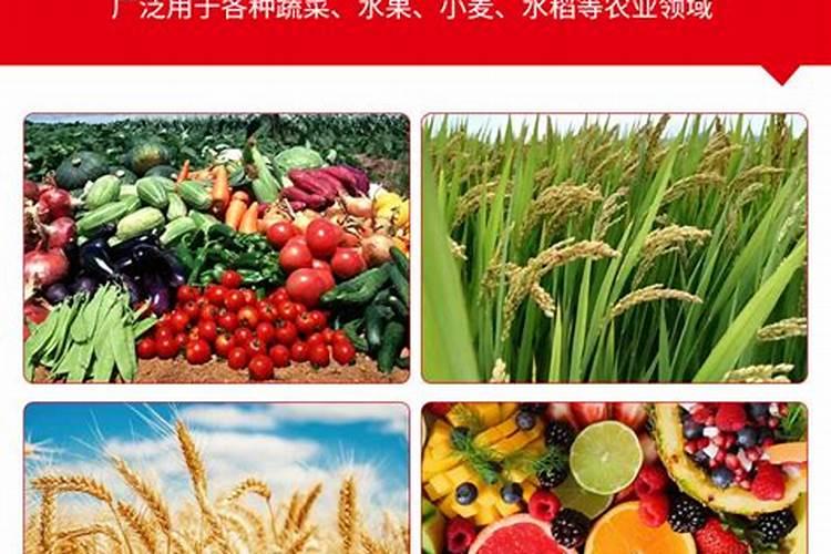 硼肥在果树使用禁忌