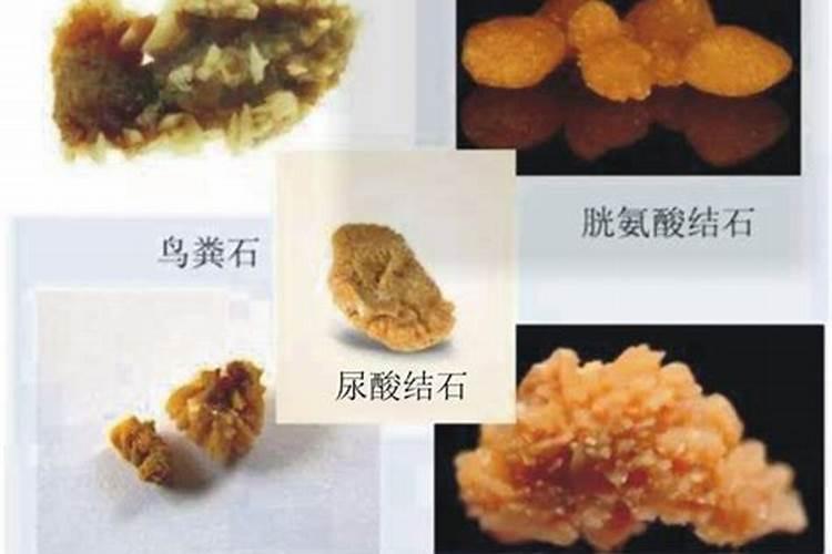 含镁的肥料有哪些