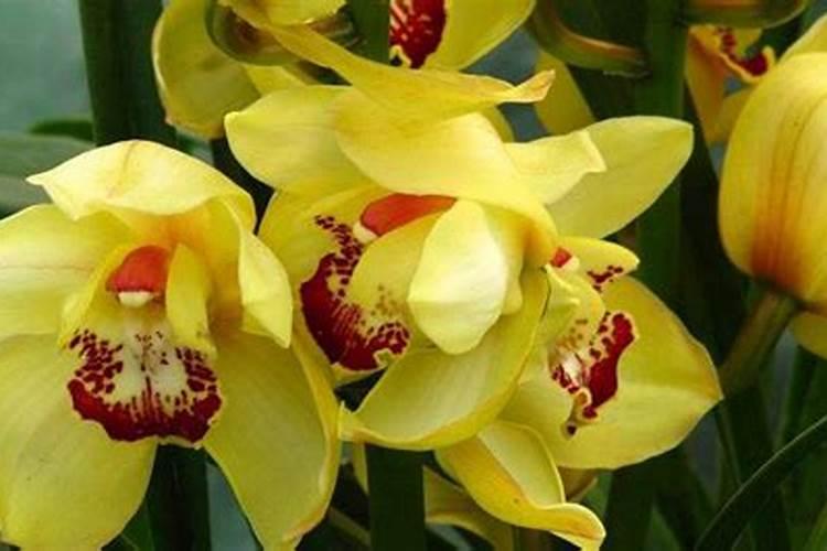 矿物油最忌三种农药