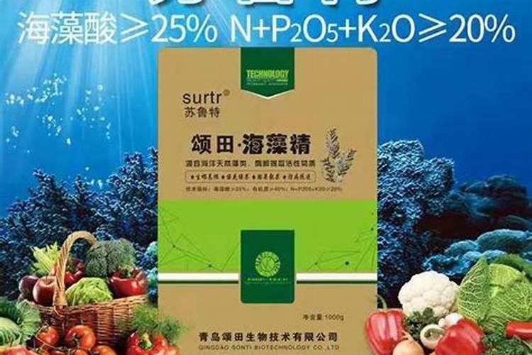 山梨酸钾在哪买