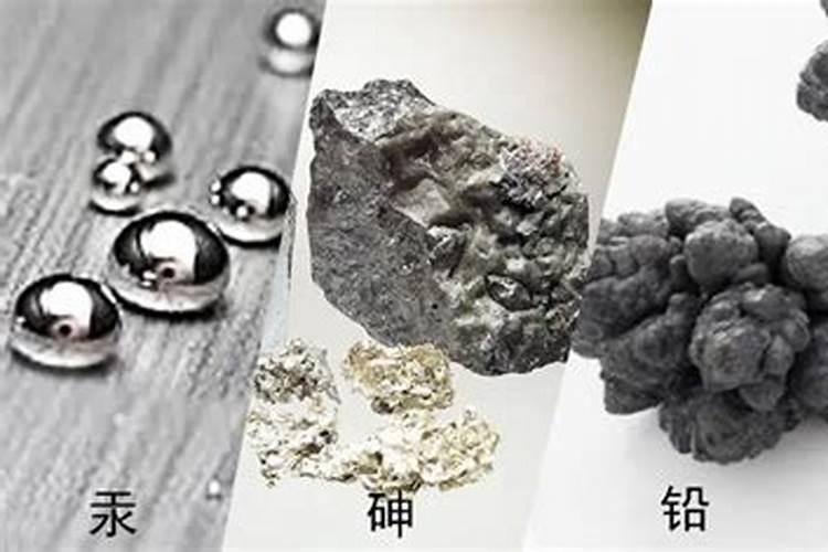 玉米什么时候打叶面肥好 使用方法有哪些