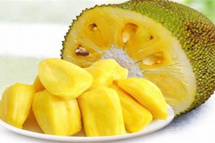 怎么防止大树菠萝落果？