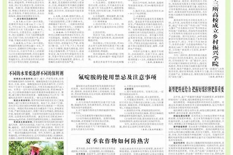 种植又香又甜的甜瓜施肥技巧