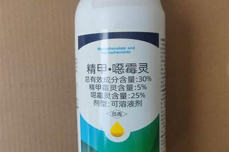 硼肥对小麦的作用与功效