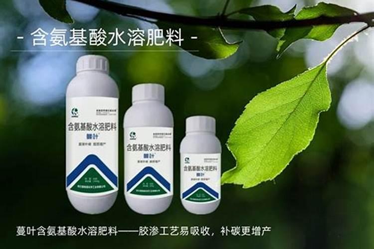 天竺葵适合用什么肥料？