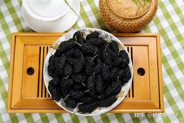 桑葚种植技术及高产要点