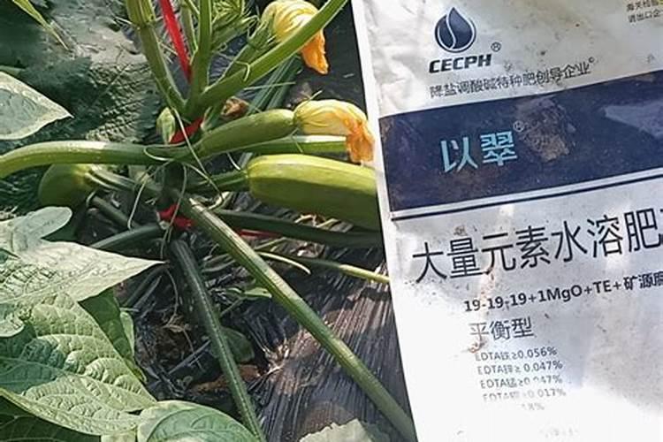 水溶肥的正确使用方法