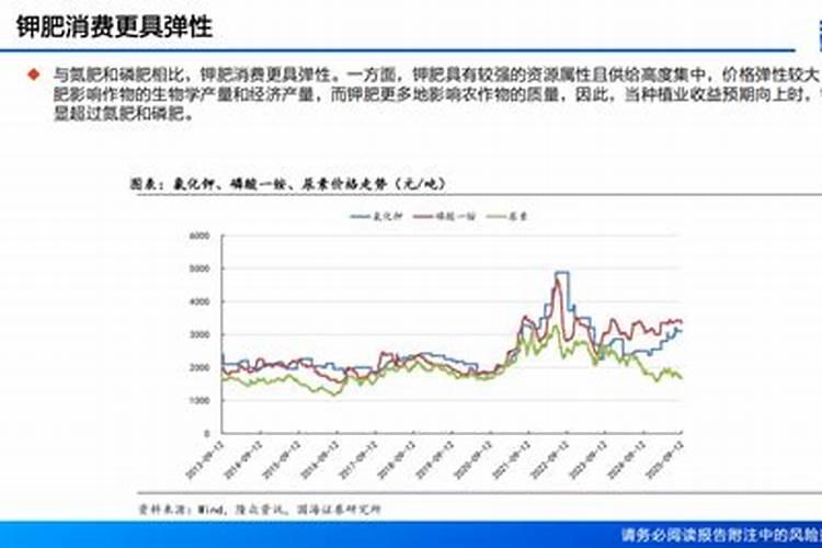 尼泊尔吉娜纪录片叫什么名字来着