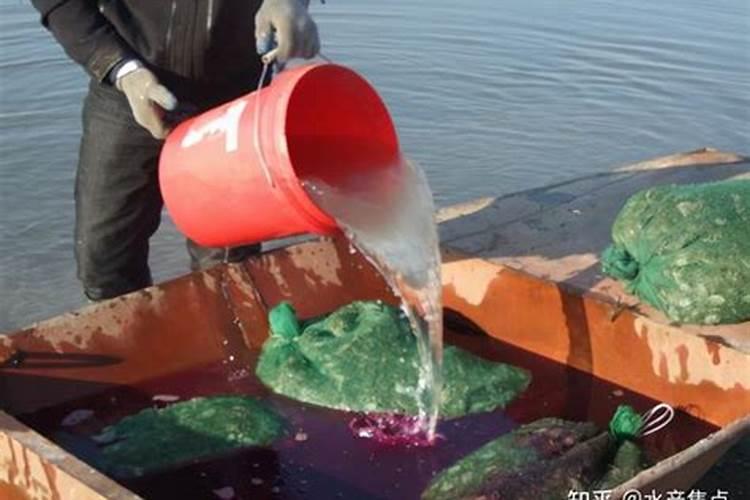 高锰酸钾能杀菌吗？