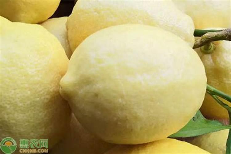 草莓施肥的方法