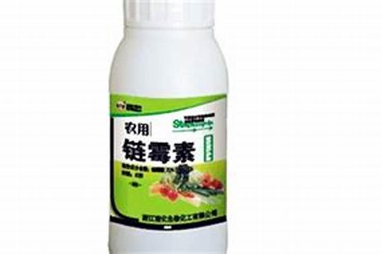 水稻红叶病怎么治