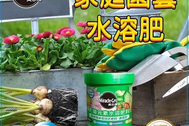 含腐植酸水溶肥料作用