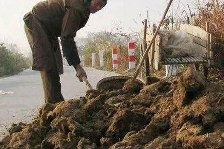 有机肥堆肥法有几种？？