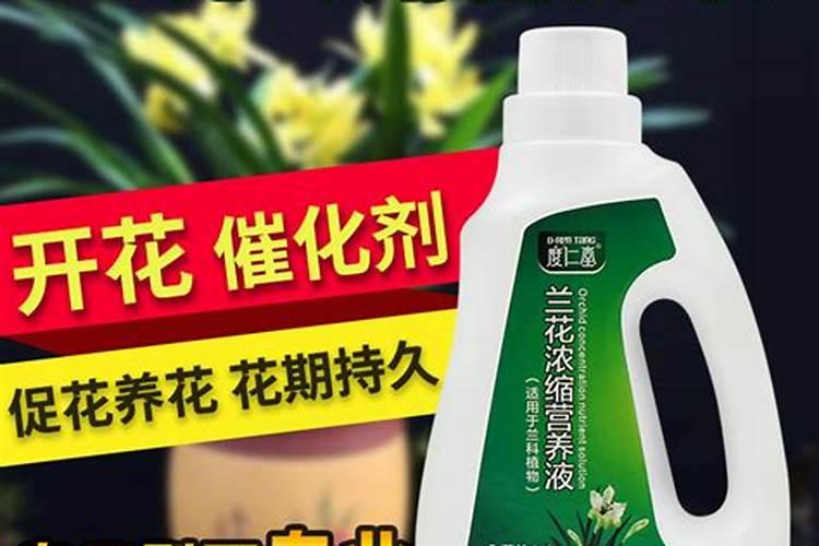 为了达到良好的催花效果,用哪种肥好