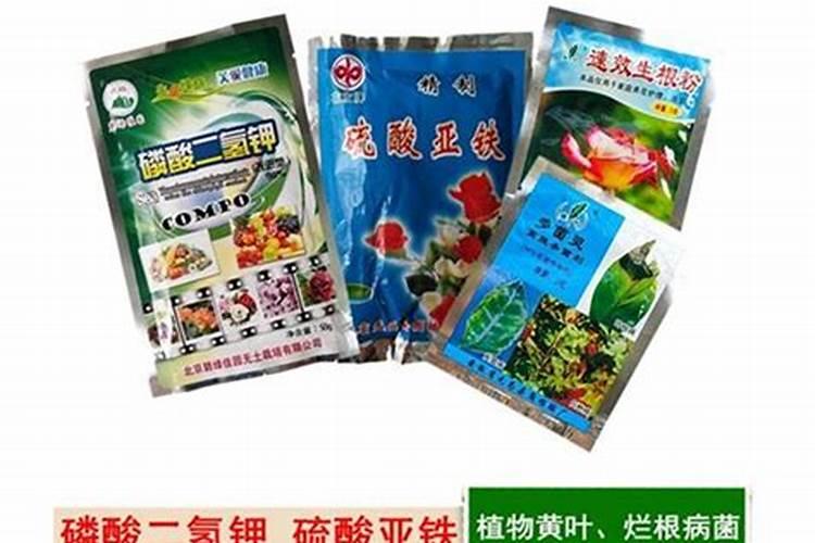 根系不发达怎样处理