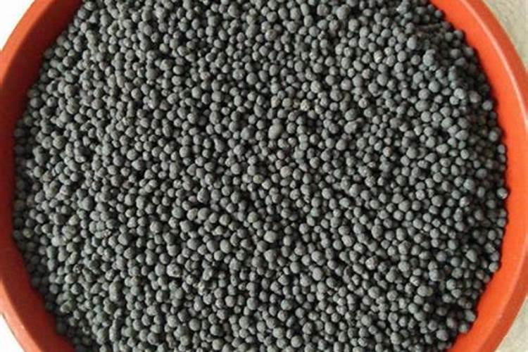 栀子花用什么肥料最好