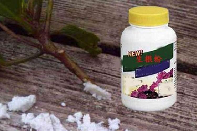 水溶肥灌根使用方法