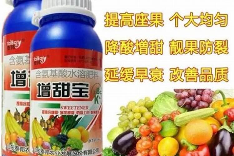 桂味荔枝花期管理技术