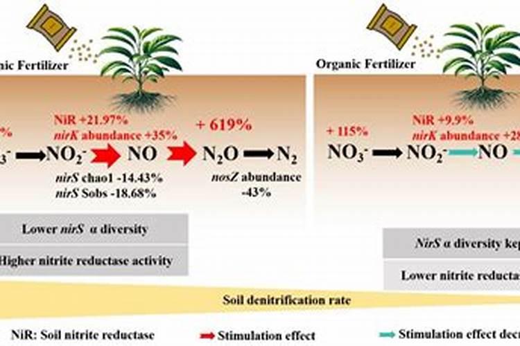 白醋替代化肥的方法