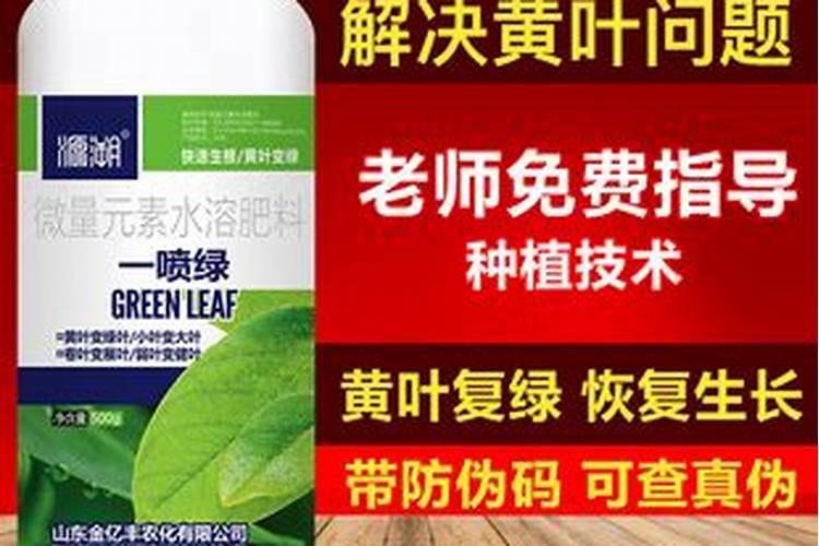 叶面肥厂家哪个做的最好？