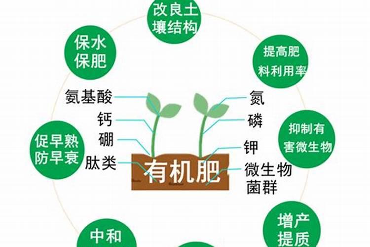 种菜用什么肥料